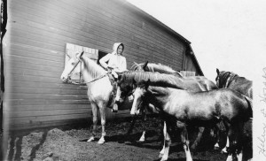 "Helen and Horses" (Helen Kjerstine Johnson, my Grandmother)
